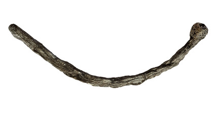 Similar image 22276053