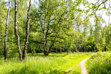 Similar image 22276057