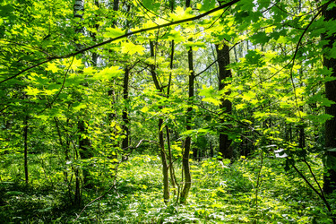 Similar image 22276058