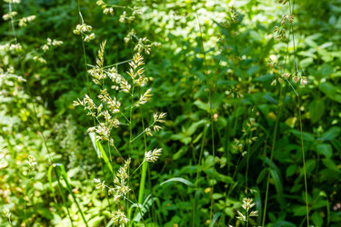 Similar image 22276059