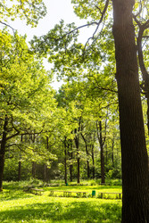 Similar image 22276060