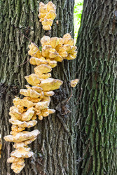 Similar image 22276062