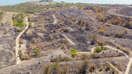 Similar image 22270710