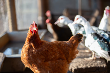 Similar image 22277059