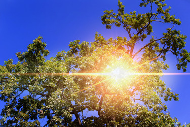 Similar image 22277070