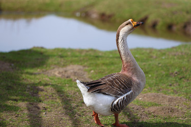 Similar image 22277489