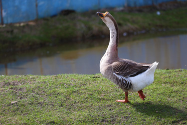 Similar image 22277491