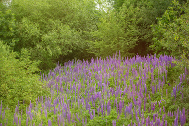 Similar image 22277502