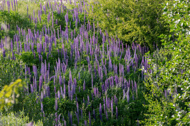 Similar image 22277511