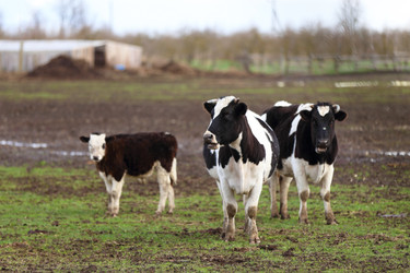 Similar image 22277513