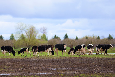 Similar image 22277514