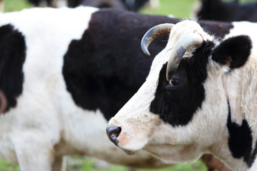 Similar image 22277515