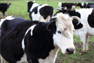 Similar image 22277516