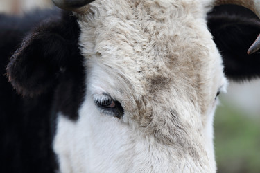 Similar image 22277517