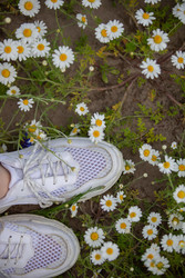 Similar image 22277530