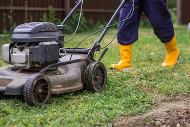 Similar image 22249346