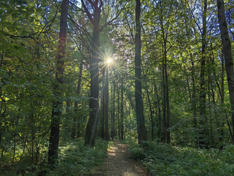 Similar image 22268332