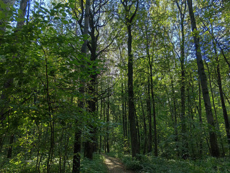 Similar image 22268333