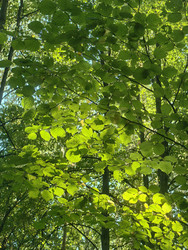 Similar image 22268334