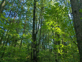 Similar image 22268335