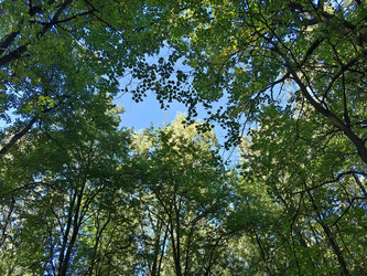 Similar image 22268336