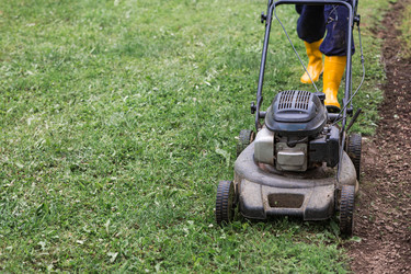 Similar image 22248952