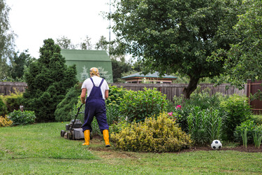 Similar image 22248953