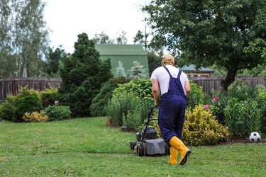 Similar image 22248954