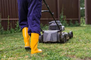 Similar image 22248955