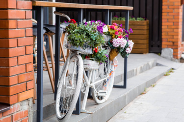 Similar image 22248957