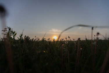 Similar image 22278047