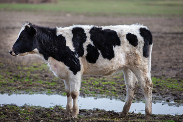 Similar image 22277085