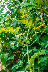 Similar image 22273848