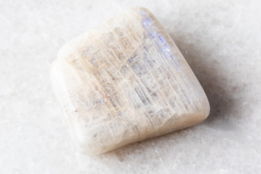 Similar image 22276089