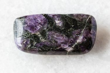 Similar image 22276100