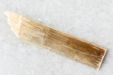 Similar image 22276101