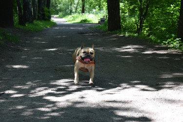 Similar image 22251090