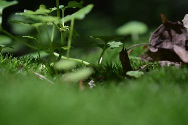 Similar image 22251091