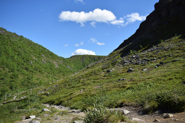 Similar image 22251094