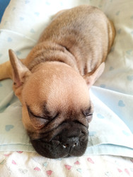 Similar image 22251098