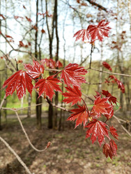 Similar image 22251100