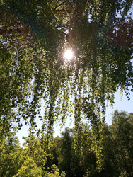 Similar image 22251101