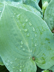 Similar image 22251102