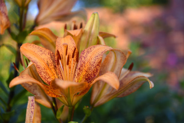 Similar image 22262154