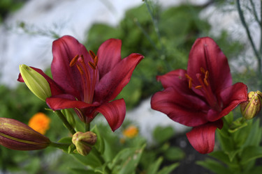 Similar image 22262155