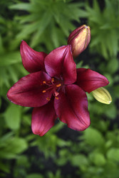 Similar image 22266218