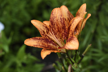 Similar image 22266219