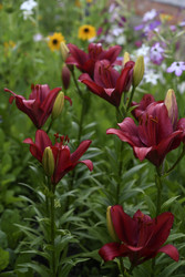 Similar image 22266220