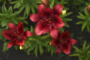 Similar image 22266221