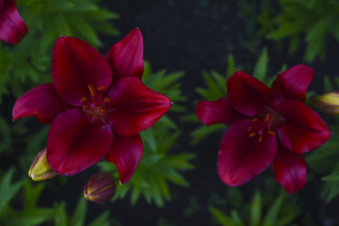 Similar image 22266222